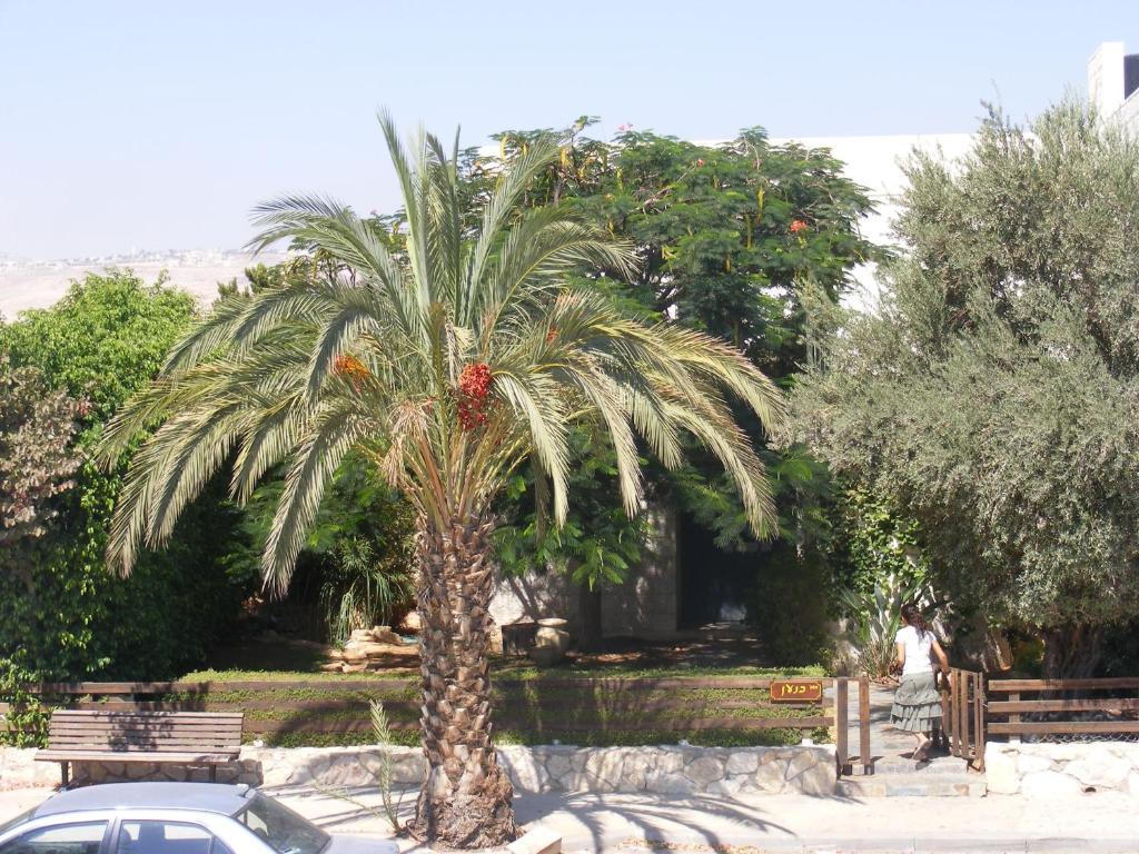Nof Canaan Kfar Adumim Εξωτερικό φωτογραφία